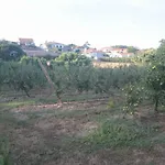 Vivenda Maria Da Nazare Holiday home Picamilho