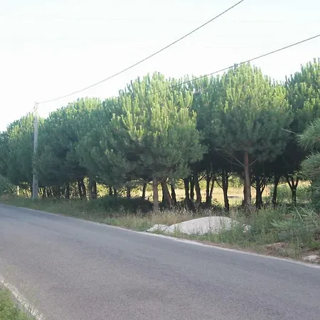 Vivenda Maria Da Nazare Picamilho