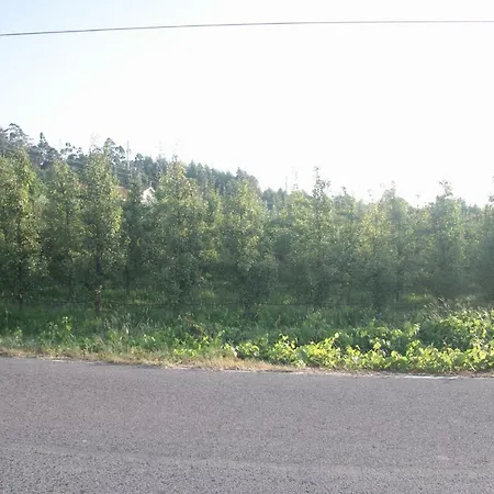 Vivenda Maria Da Nazare בית נופש Picamilho