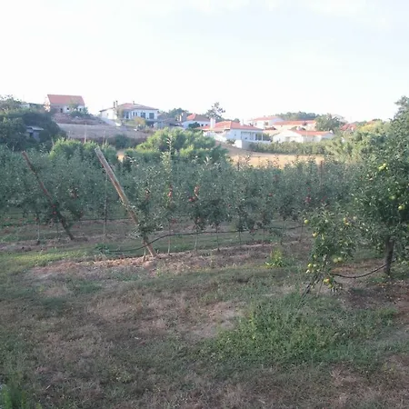 Vivenda Maria Da Nazare בית נופש Picamilho