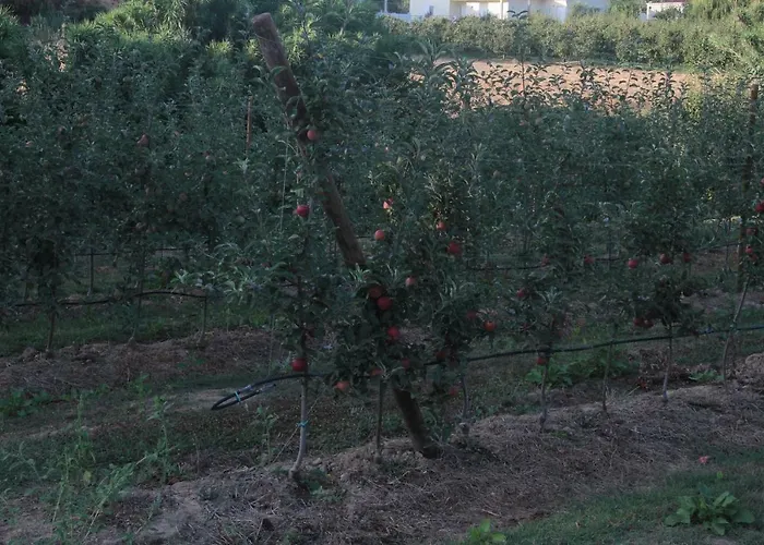 Vivenda Maria Da Nazare Дом отдыха