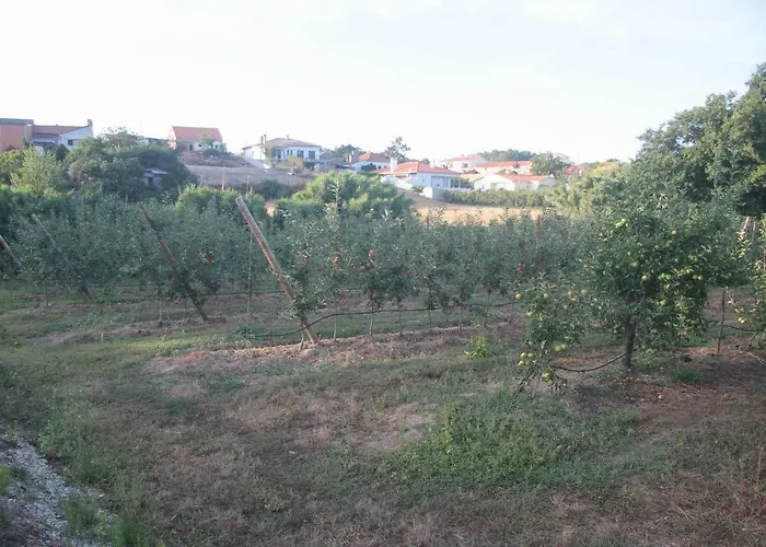 Vivenda Maria Da Nazare Дом отдыха Picamilho