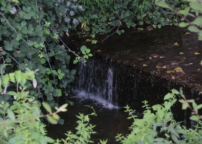 Дом отдыха Vivenda Maria Da Nazare